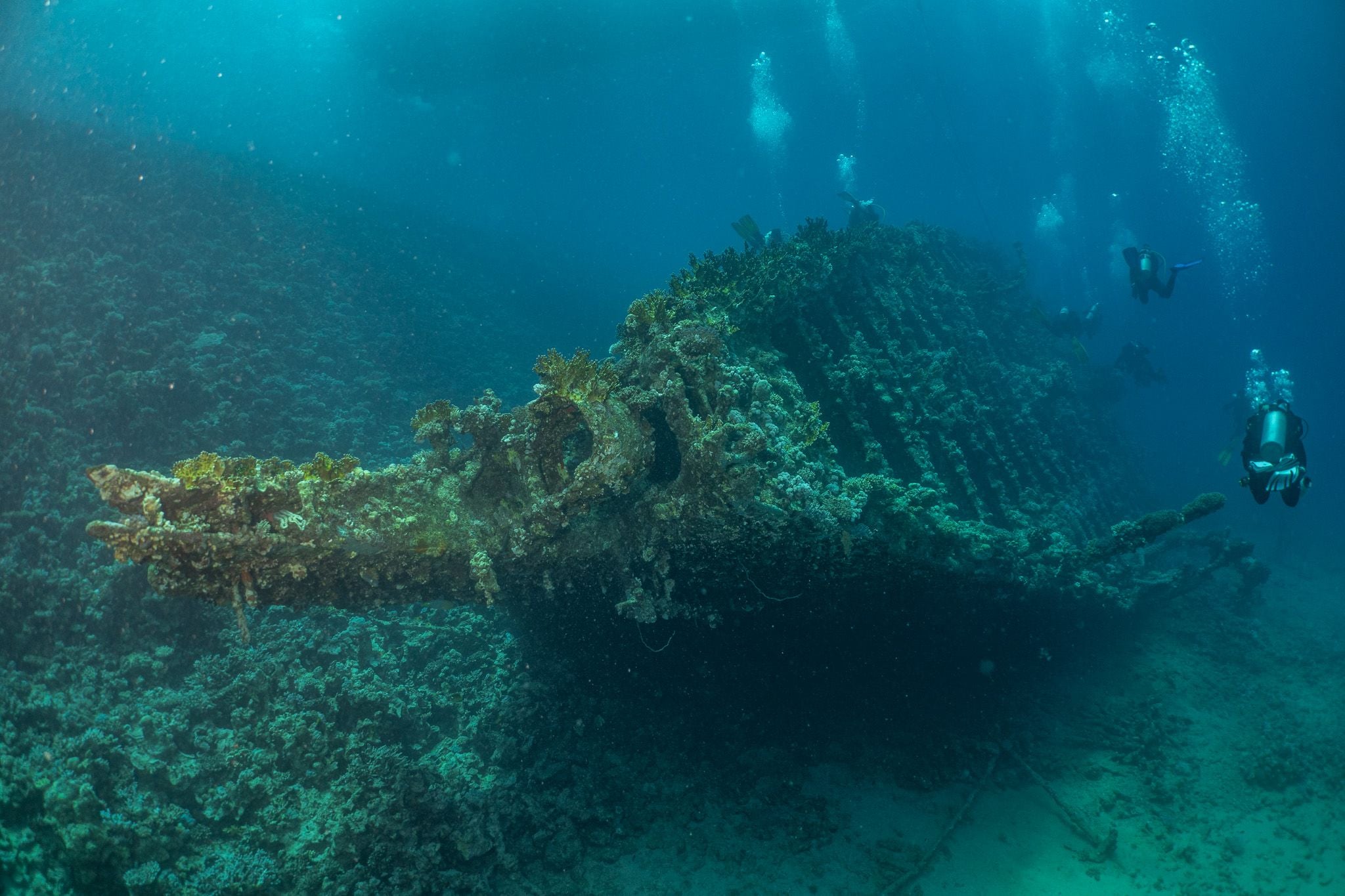 Diver exploring a Red Sea wreck during wreck training